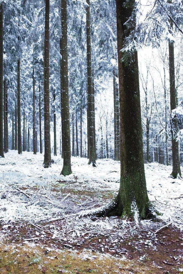Au Bois Colin Villa Durbuy Bagian luar foto